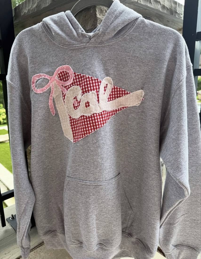Roar pennant hoodie